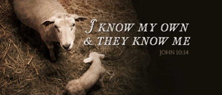 Good Shepherd Sunday