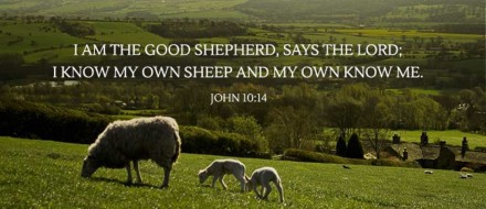 Good Shepherd Sunday