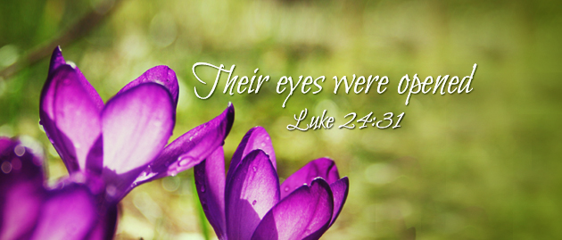 3rd Sunday of Easter