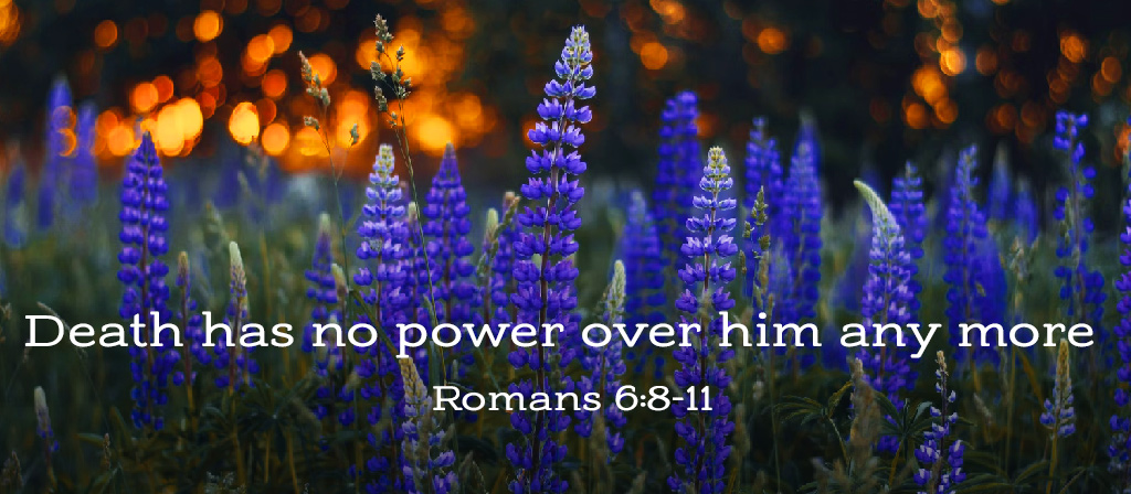 13th Week in Ordinary Time