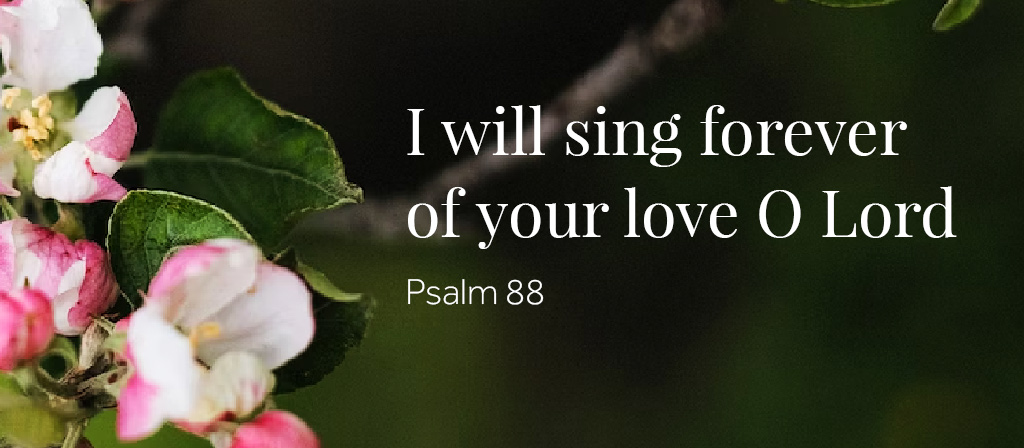 13th Week in Ordinary Time